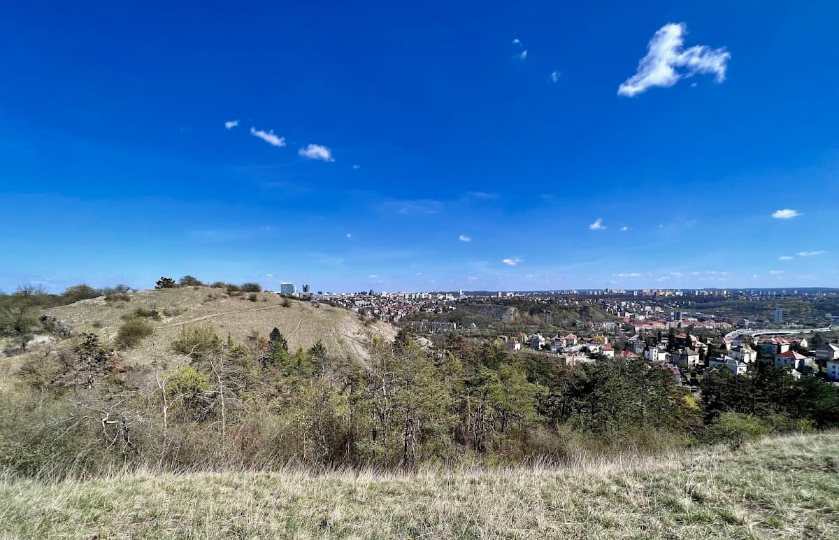 Děvín (Pražská plošina)