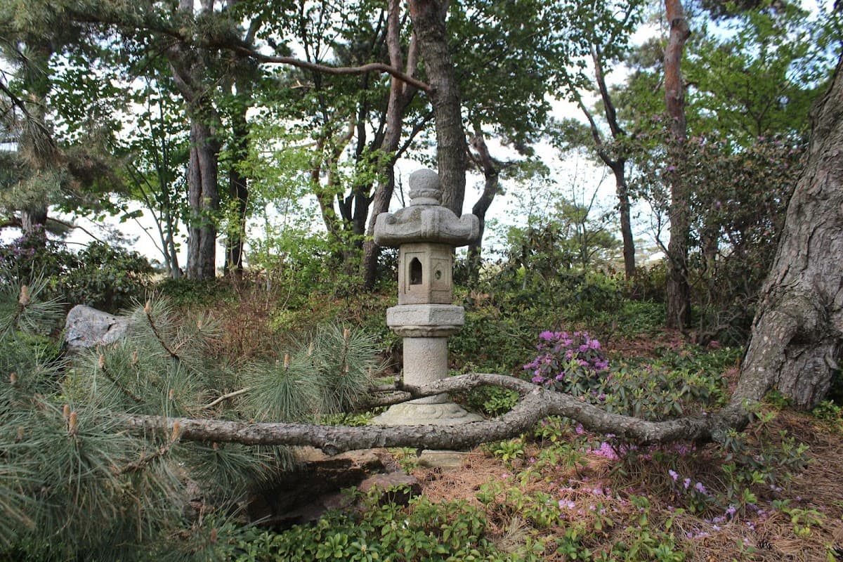 Japanese Garden