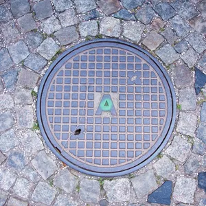 Hostinné