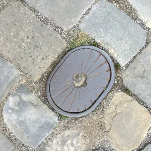 Tmavý oválný poklop s paprskovitým vzorem připomínajícím slunce nebo kolo je zasazen do dlážděné cesty. Jeho rezavé linie vyzařují z nepravidelného vyvýšeného středu, který je vyplněn drobnými kamínky. Okolní dlažební kostky a štěrk dodávají celku rustikální vzhled.