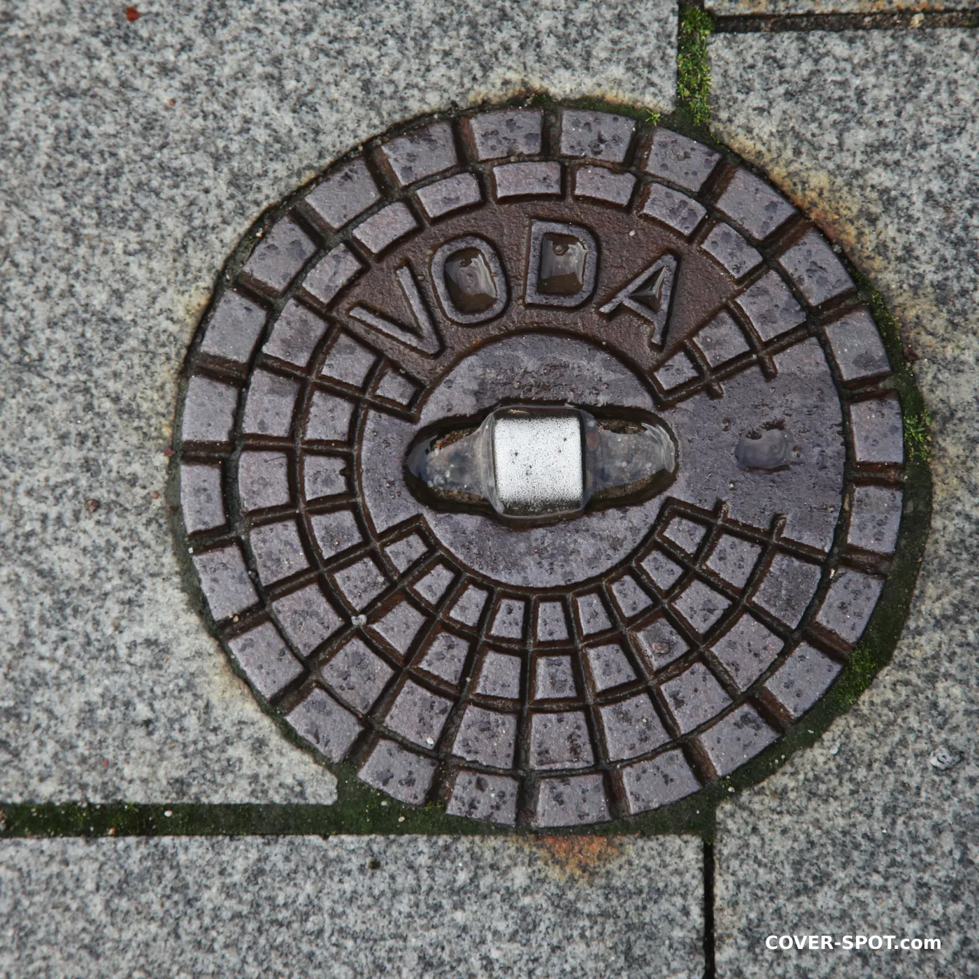 Manhole cover in Hradec Králové, Czechia