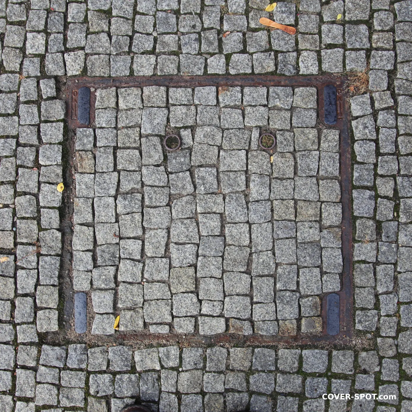 Manhole cover in Hradec Králové, Czechia