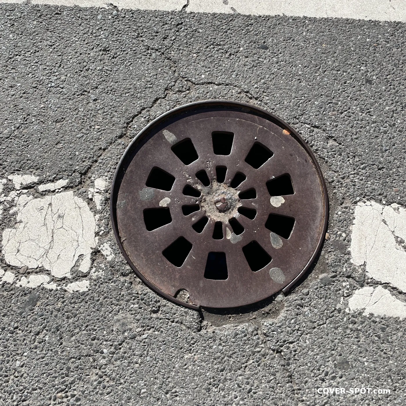 غطاء فتحة في New York City, United States