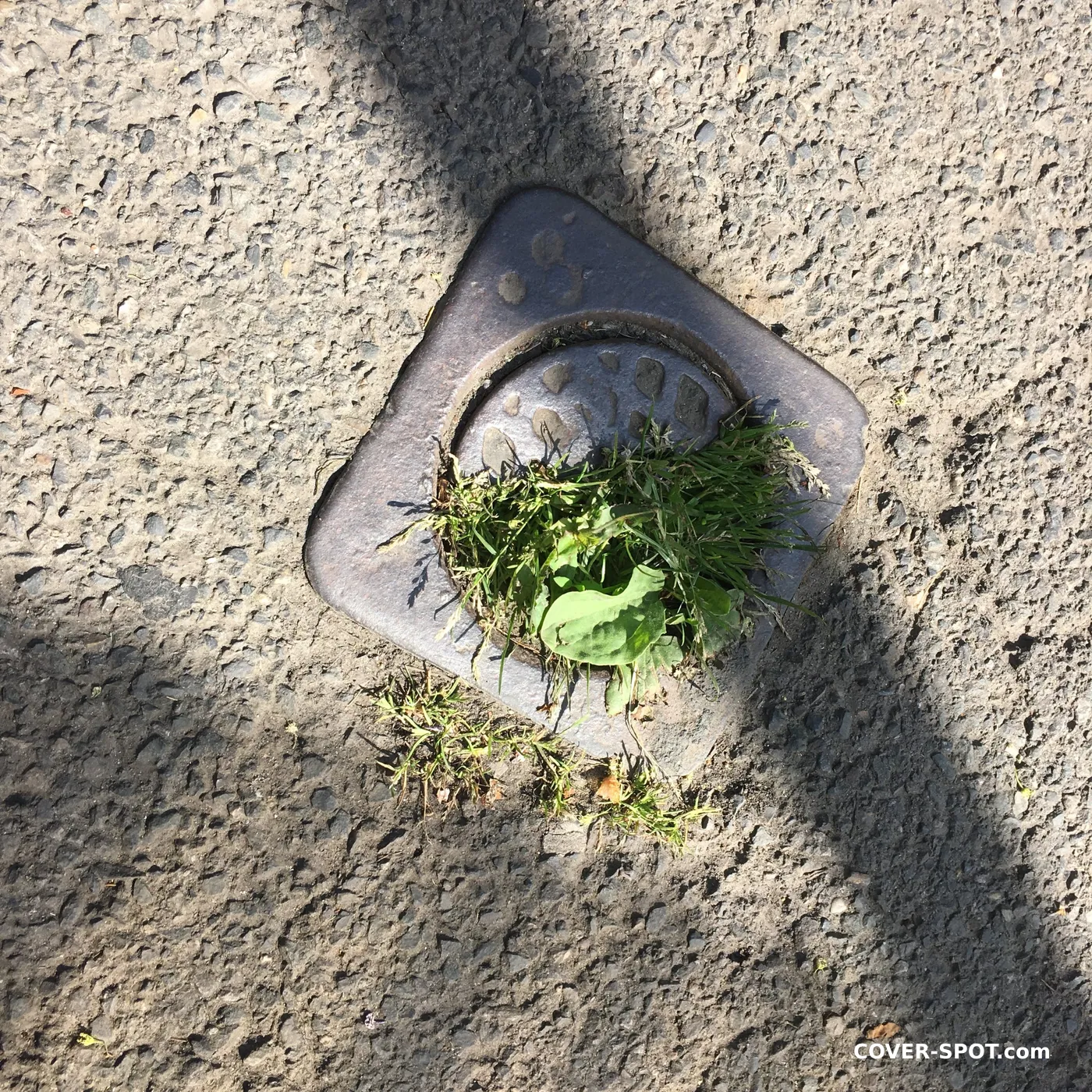 Manhole cover in Praha, Czechia