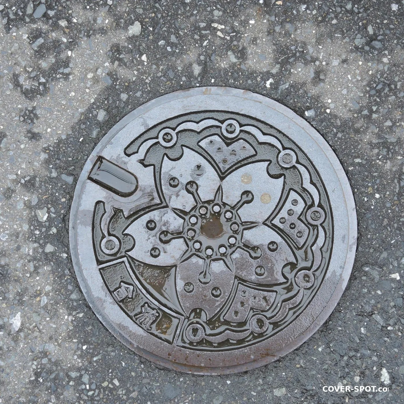 Šulinio dangtis Tokyo, Japan