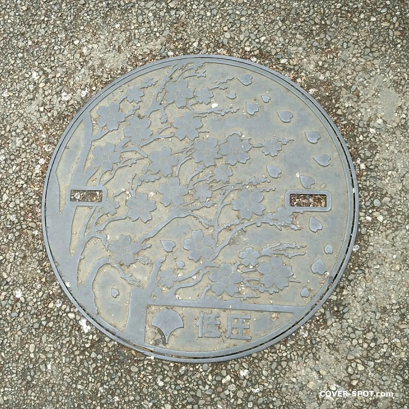 Tapa de alcantarilla en Tokyo, Japan
