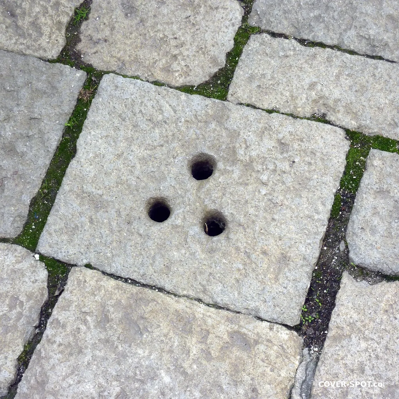 Manhole cover in Venice, Veneto, Italy