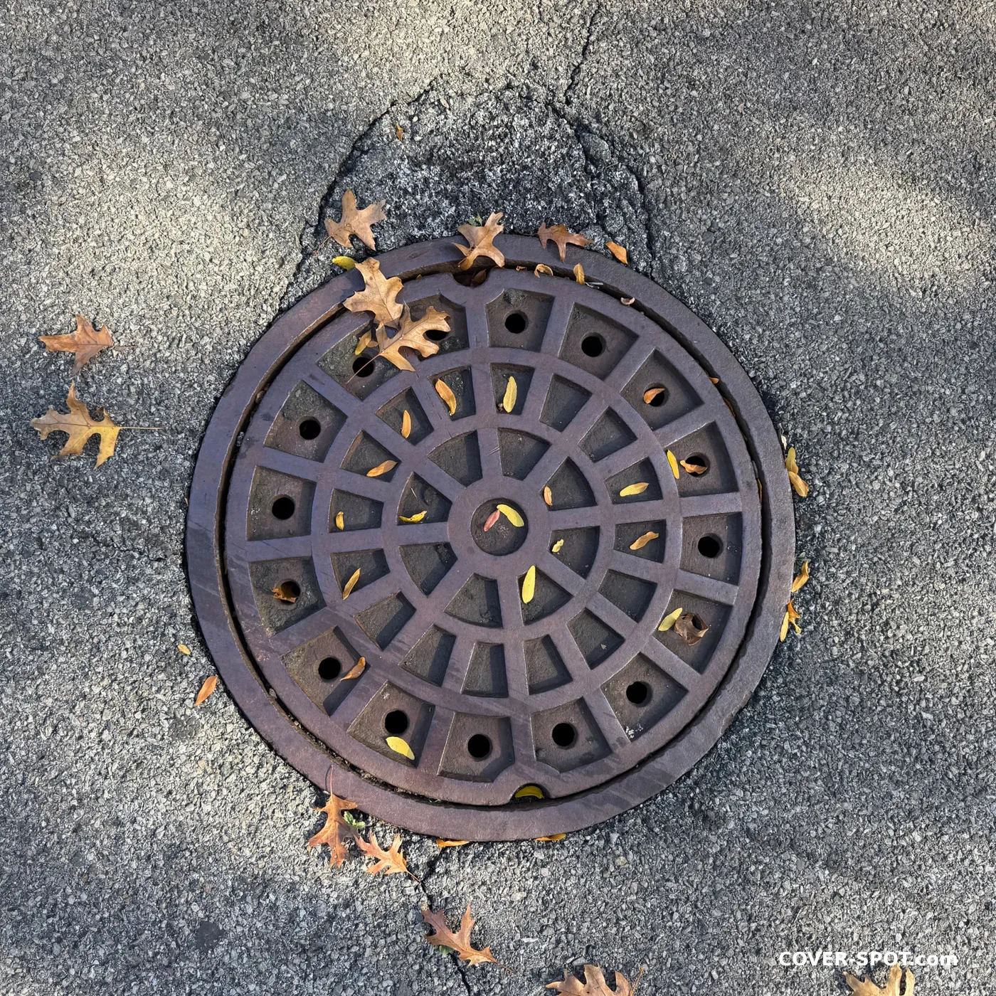 غطاء فتحة في Hoboken, New Jersey, United States