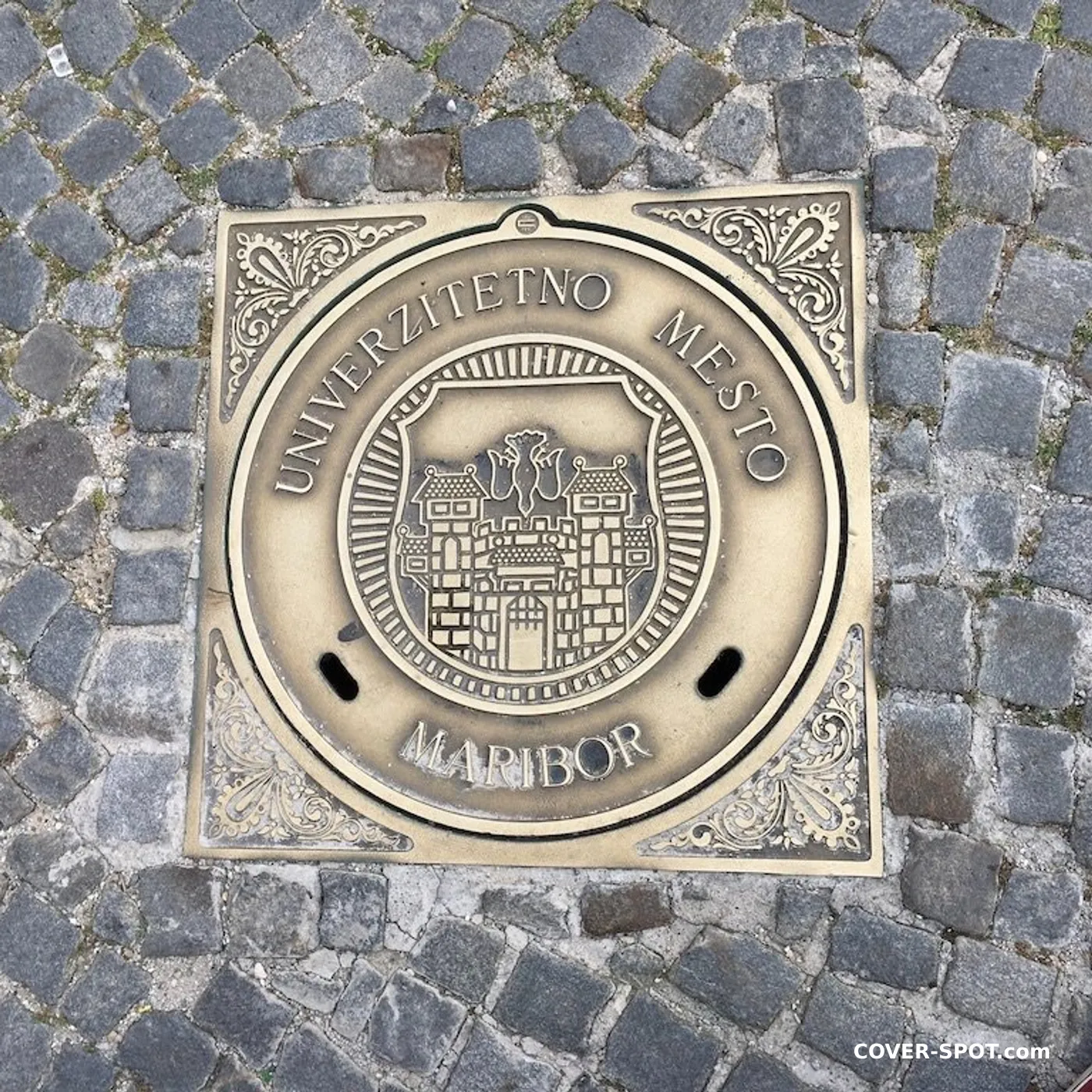 Manhole cover in Maribor, Slovenia