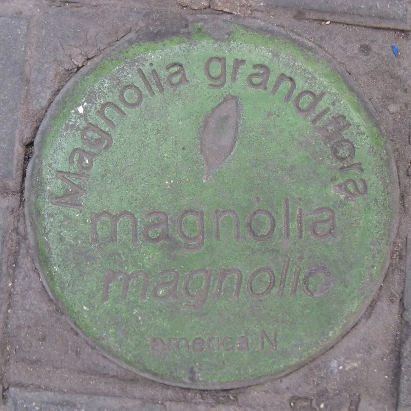 Manhole cover in Barcelona, Spain