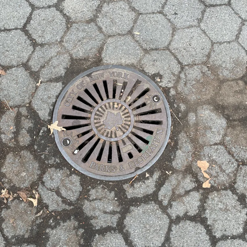 Manhole cover in New York City, United States