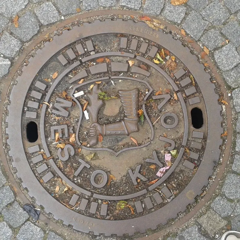 Manhole cover in Kyjov, Czechia