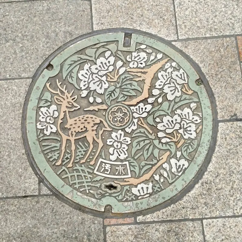 Właz kanalizacyjny w Nara-shi, Japan