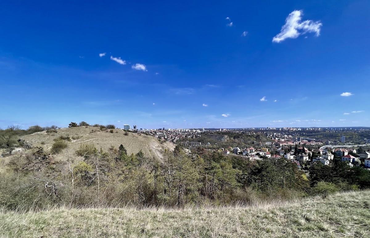 Děvín (Pražská plošina)