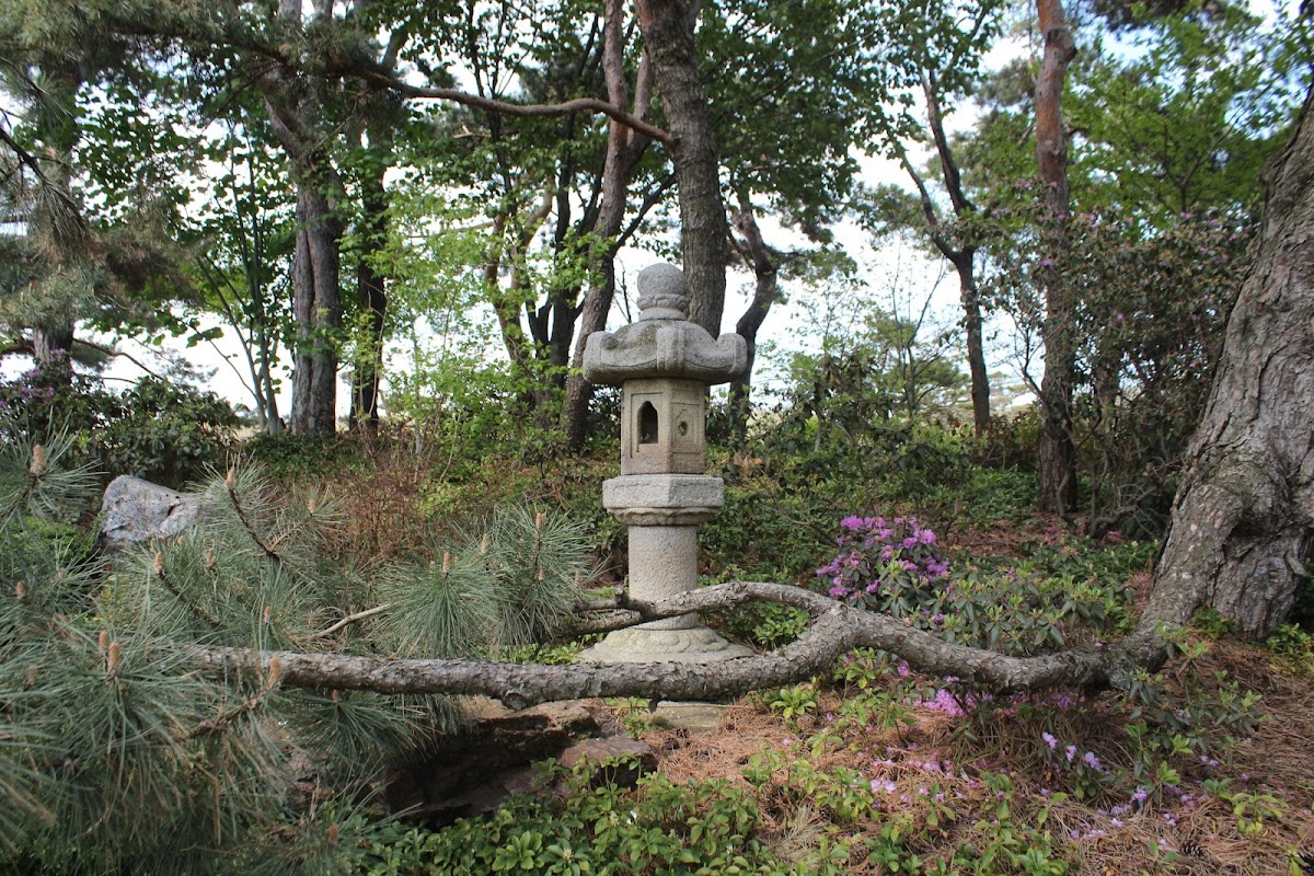 Japanese Garden